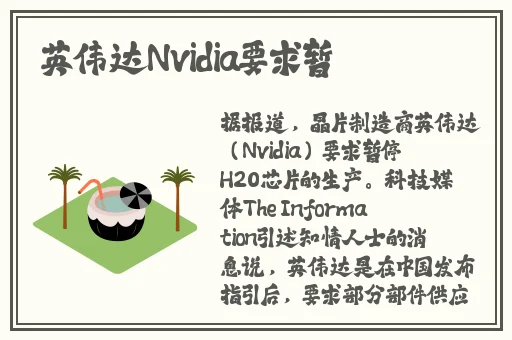 樱花视频在线观看免费完整版大全下载